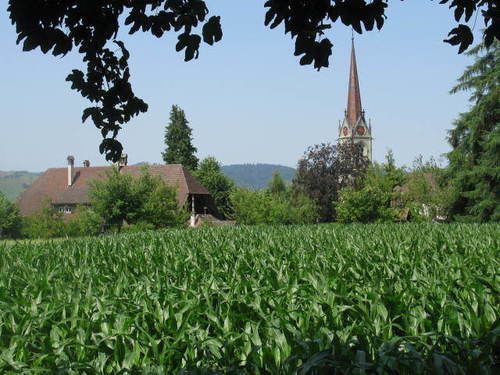 Gemeinschaftshaus Im Oberdorf Lutzelfluh Luaran gambar