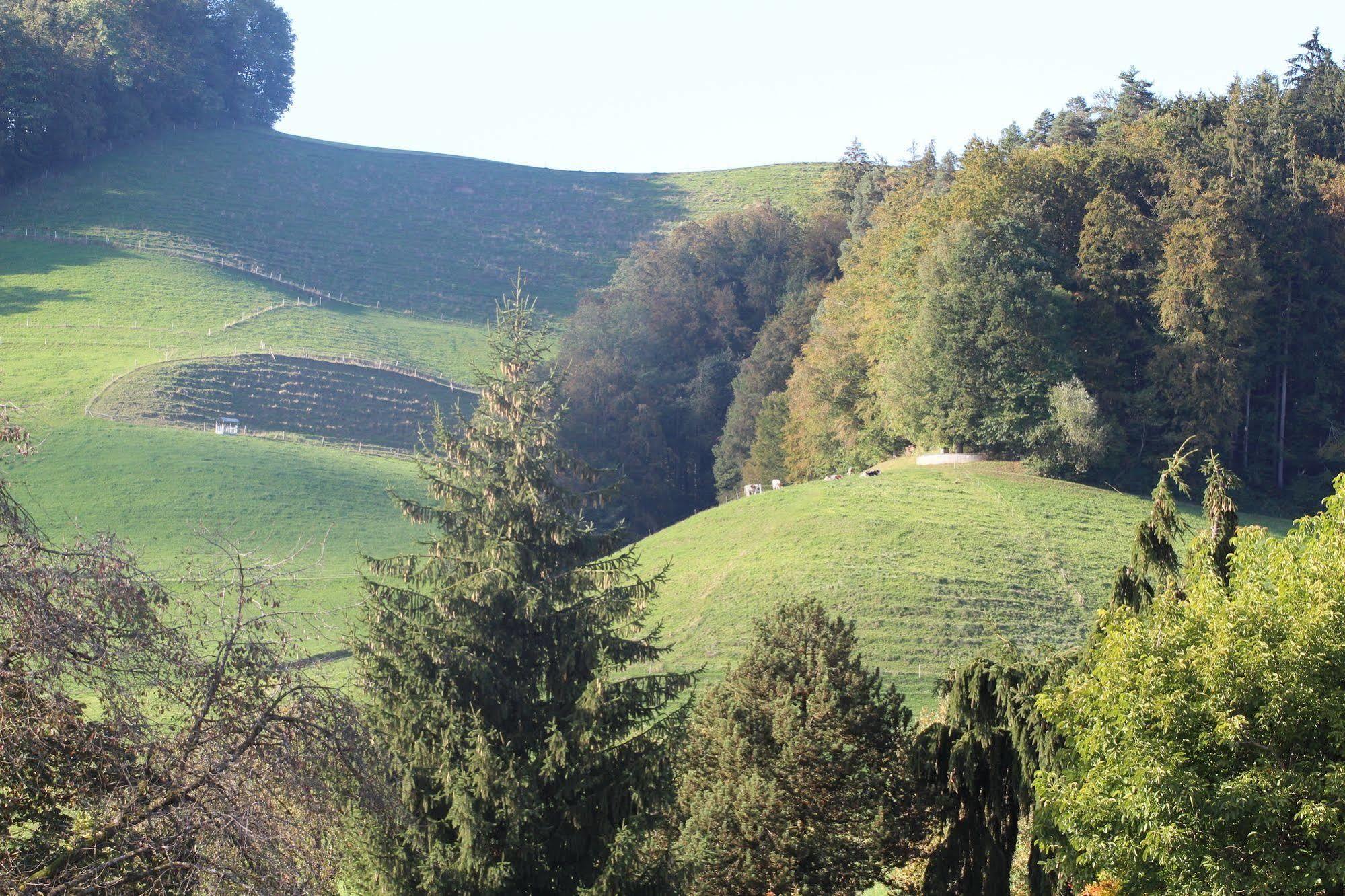 Gemeinschaftshaus Im Oberdorf Lutzelfluh Luaran gambar